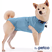 Well & Good Recovery Suit for Dogs