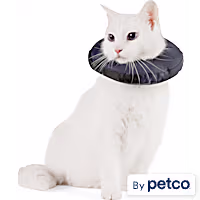 Well & Good Soft-Filled Recovery Kitten Collar