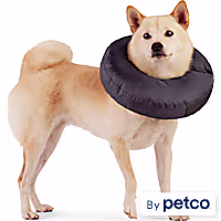Well & Good Soft-Filled Recovery Dog Collar