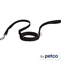 YOULY Black Cat Leash