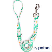 YOULY Daisy Dog Leash