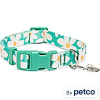 Petco dog chains top