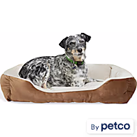 EveryYay Essentials Rectangle Nester Dog Bed