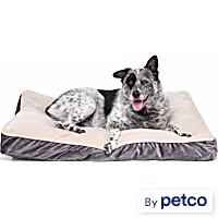 EveryYay Essentials Lounger Dog Bed