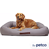 Reddy Cozy & Cool Touch Dog Bed