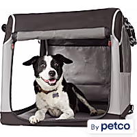 Reddy Foldable Travel Crate for Pets