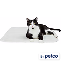 EveryYay Gray Diamond Print Cat Throw