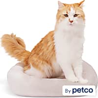 EveryYay Gray Rectangle Lounger Cat Bed