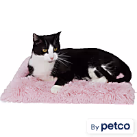 EveryYay Pink Fuzzy Fur Solid Cat Bed