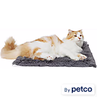 EveryYay Gray Fuzzy Fur Solid Cat Bed