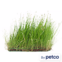 Grass Mat