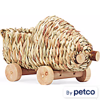 EveryYay Grass Car for Small Animals