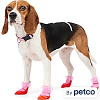 Dog Boots Shoes Socks Puppy Dog Booties Petco