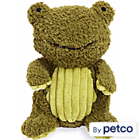 Leaps & Bounds Plush Frog Dog Toy