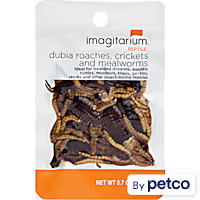 Imagitarium Insect Variety Pack