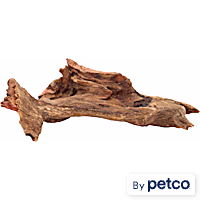 Terrarium Driftwood