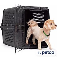 EveryYay Travel Pet Kennel