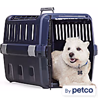 EveryYay 2-Door Pet Kennel