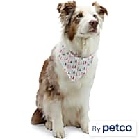 Dog Christmas Sweaters Holiday Apparel Petco