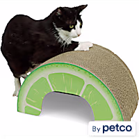 EveryYay Novelty Lime Cardboard Cat Scratcher