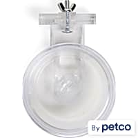 EveryYay Food & Water Crock for Small Animals