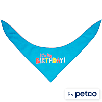 YOULY Birthday Dog Bandana