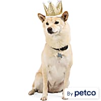 YOULY Birthday Crown Pet Hat