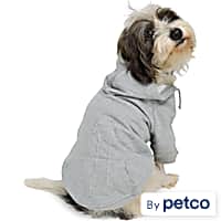 Reddy Icon Dog Hoodie
