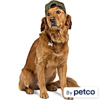 Reddy Washed Twill Dog Hat
