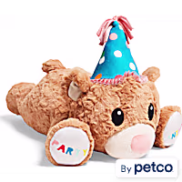 YOULY Birthday Jumbo Snuggle Dog Toy