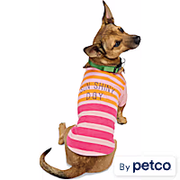 YOULY Sun Shiny Pet T-Shirt