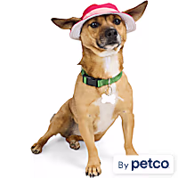YOULY Adjustable Bucket Hat for Dogs