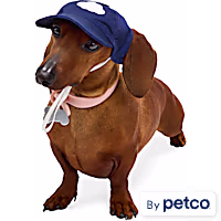 YOULY Cloud Adjustable Dog Hat