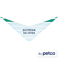 YOULY Daydream Believer Pet Bandana