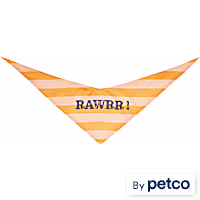 YOULY Rawrr Pet Bandana