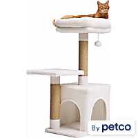 EveryYay Cozy Condo 2-Level Cat Tree