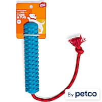 Leaps & Bounds Floating Bumper Dog Toy