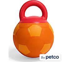 Leaps & Bounds Orange Soccer Ball Dog Toy with Handle