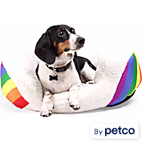 EveryYay Essentials Pride Oval Cuddler Dog Bed