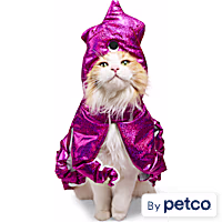 YOULY Squid Cat Costume Cape