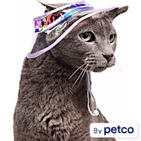 YOULY Iridescent Bucket Cat Hat