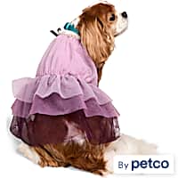 YOULY Ruffle Dress for Dogs