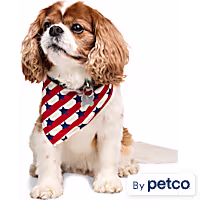 YOULY Stars and Stripes Dog Bandana
