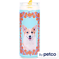 Bootique Dog Candle Blue Rubber Dog Toy