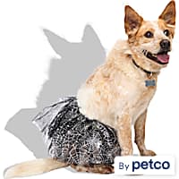 Bootique Sparkly Spiderweb Tutu Pet Skirt
