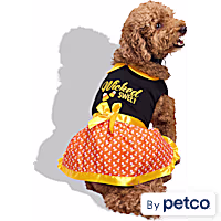 Bootique Wicked Sweet Candy Corn Pet Dress