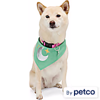 YOULY Star & Moon Pet Bandana