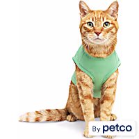 YOULY Dream Big Cat T-Shirt