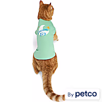 YOULY Dream Big Cat T-Shirt