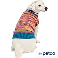 YOULY Multicolor Striped Pet Sweater